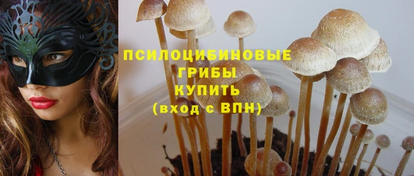 ешки Вязники